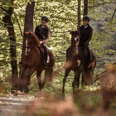 2 Reiter auf Pferden im Wald