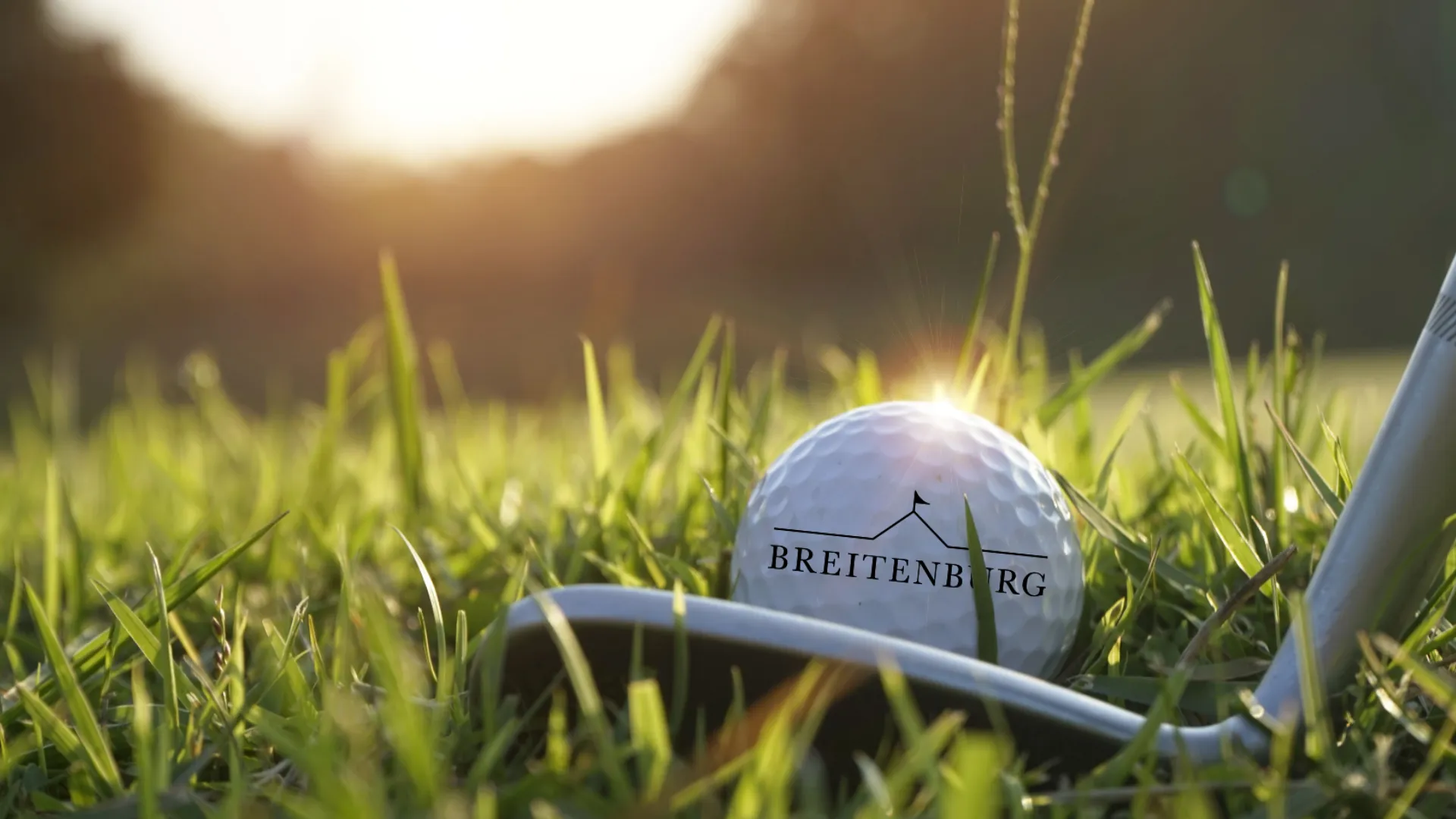 Golfball Breitenburg mit Schläger im Gras