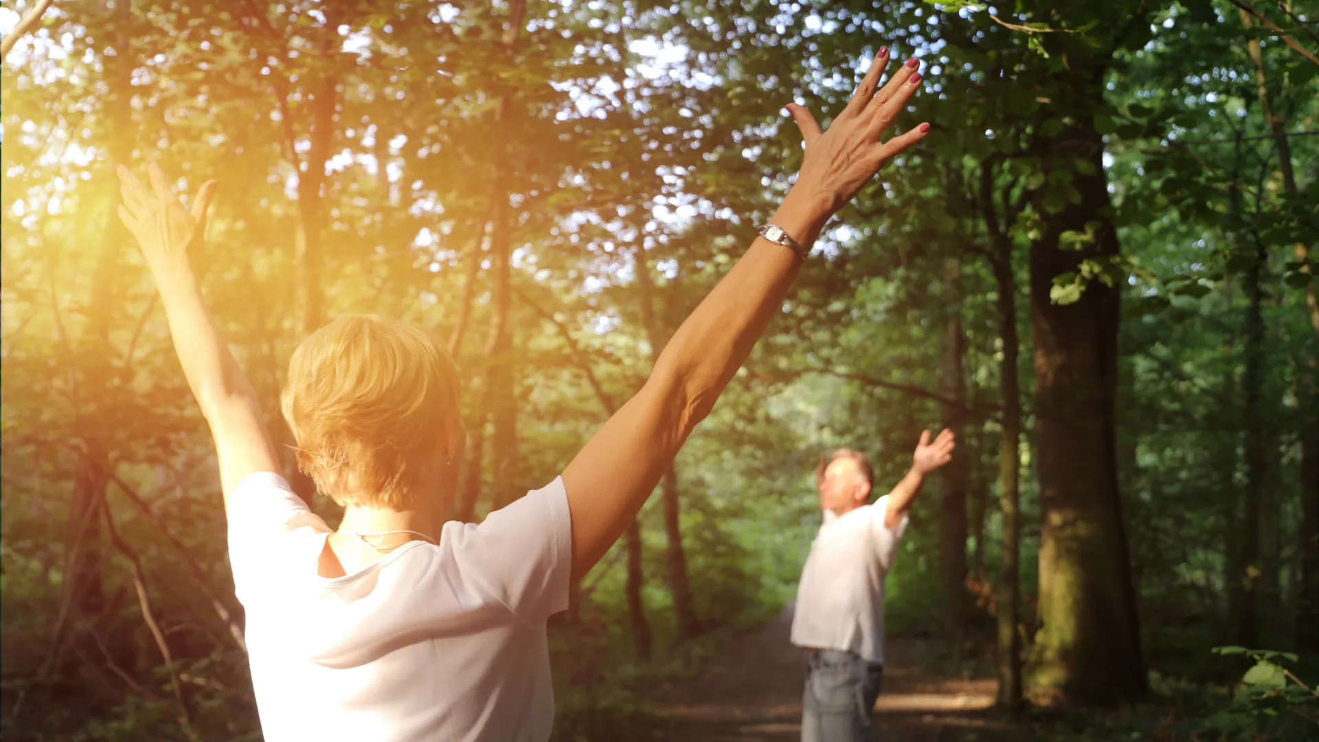 Zwei Menschen im Wald heben die Hände