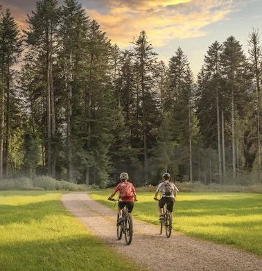 Paar mit Fahrrad vor einem Wald